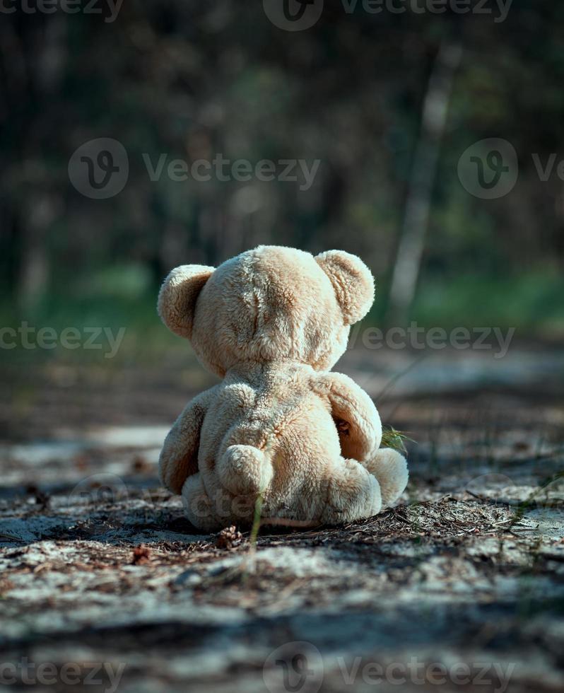 brown teddy bear sits back in the middle of a sandy road in the forest photo