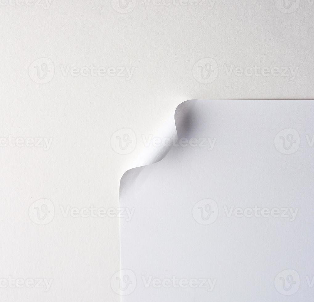 blank white sheet of paper with a curved corner photo