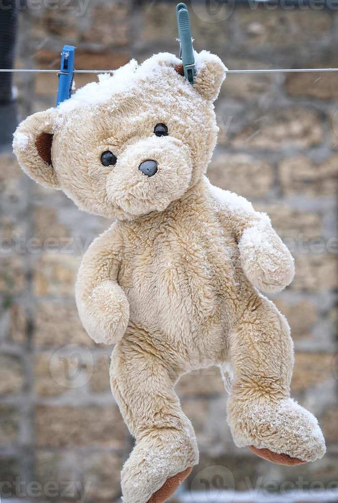 old teddy bear hanging on a clothesline photo