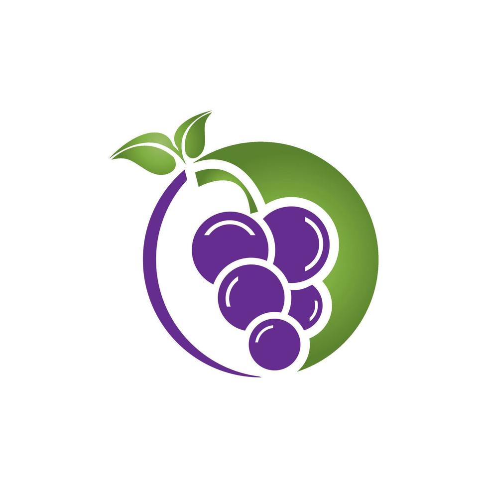 Fruit grape logo. grape with leaf.modern design.vector illustration vector