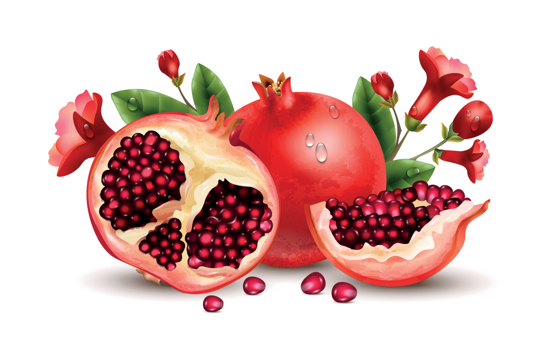 Pomegranate Realistic Concept 19458696 Vector Art at Vecteezy