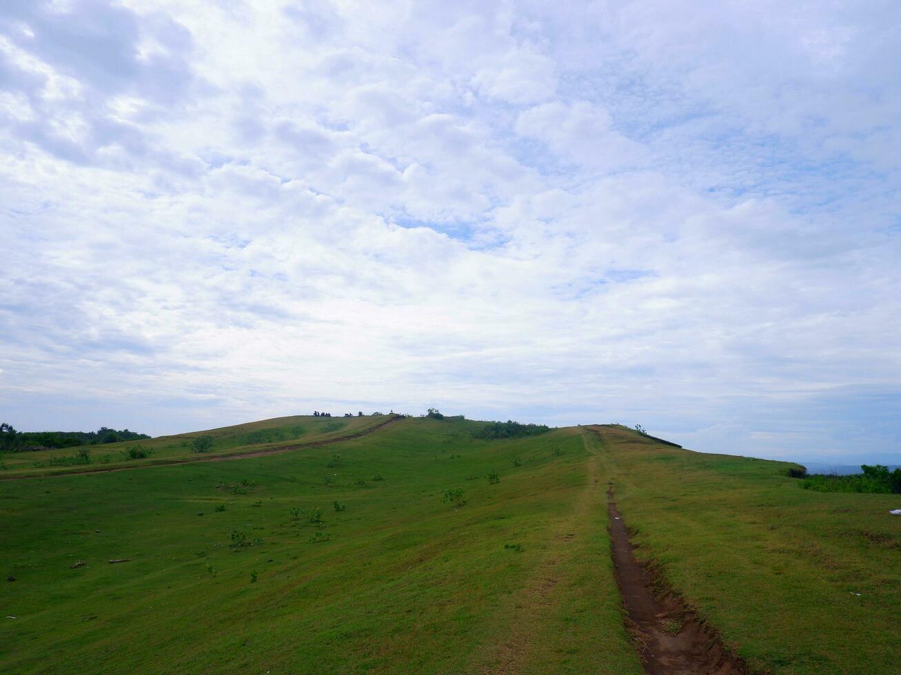 Green grass field on small hills and blue sky with clouds and dirt trails in Indonesia photo