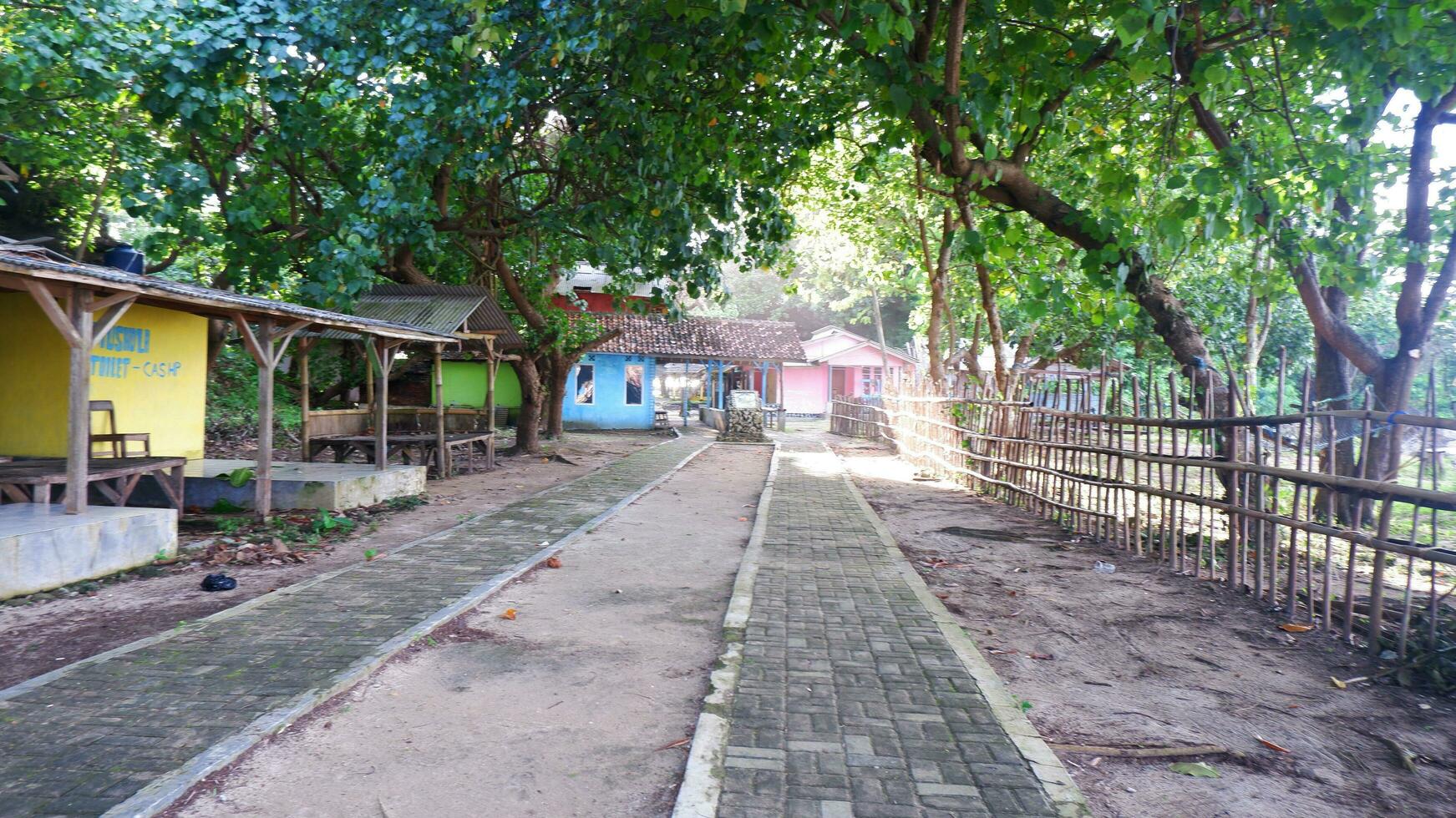 Beautiful village road with many trees around it photo