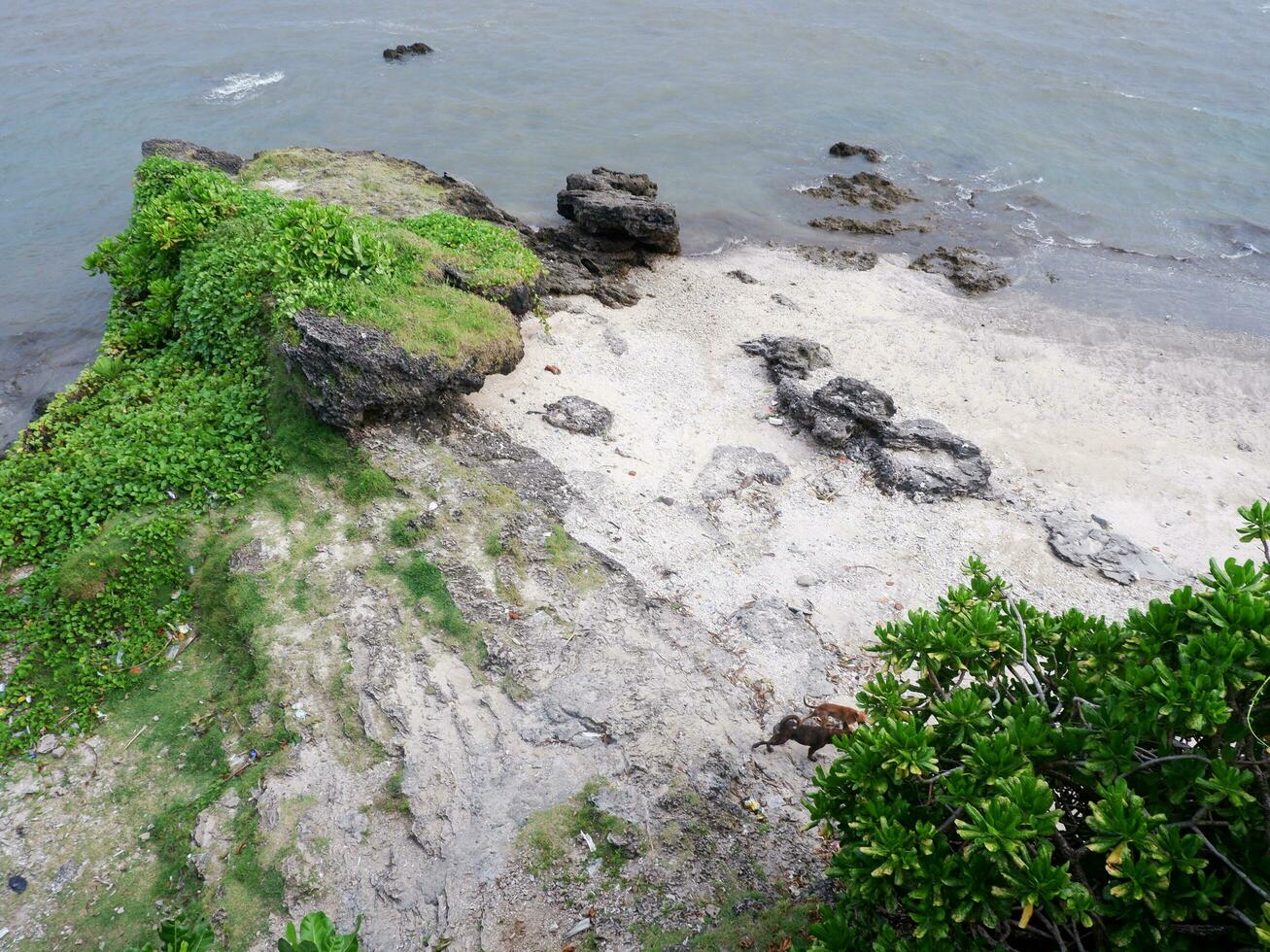 View of the shoreline from above, white waves, beach sand, clear water and rocks. Panoramic view. Beautiful beaches photo