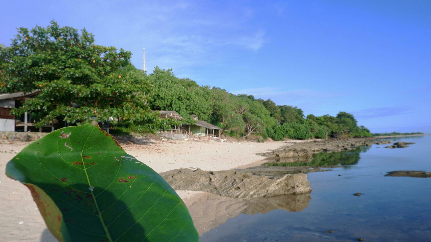 Blue beach view, blue sky, island and gorgeous green trees on tropical beach, Panoramic view. Vintage tone filter effect color style. Nature tropical beach sea. photo