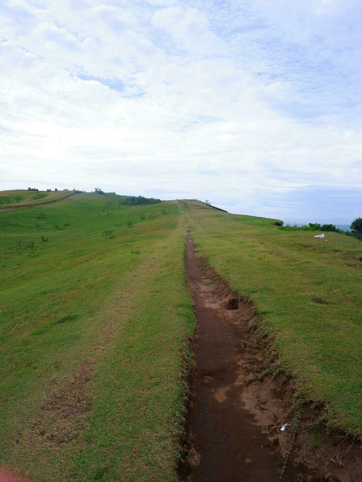 Green grass field on small hills and blue sky with clouds and dirt trails in Indonesia photo