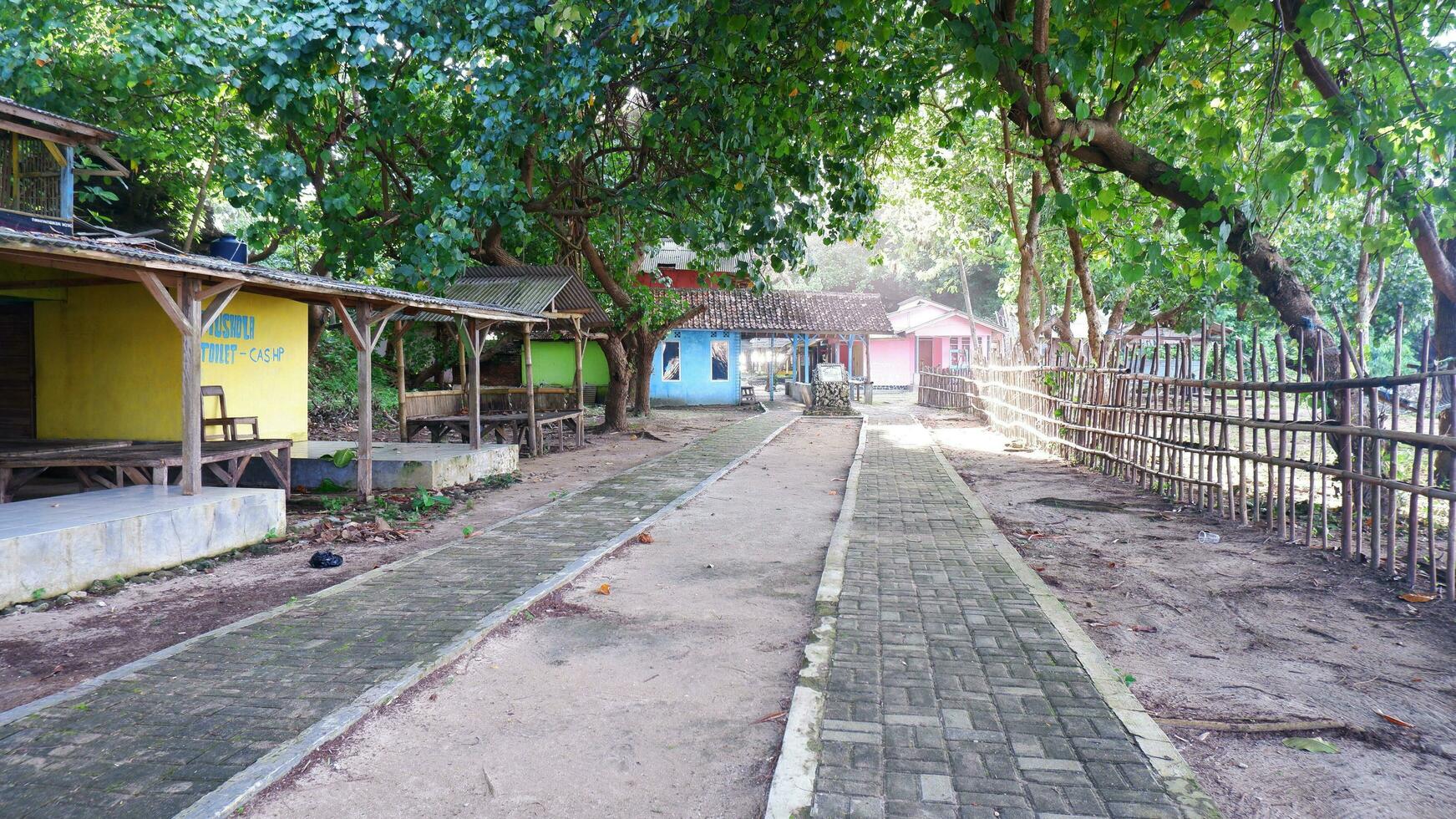 Beautiful village road with many trees around it photo