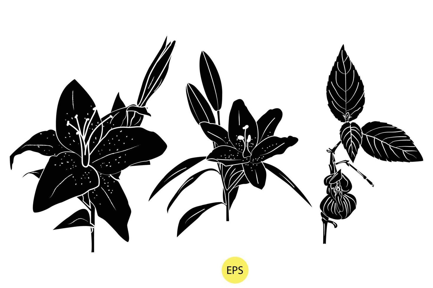 ilustración vectorial de lirio de valle, conjunto de siluetas decorativas negras de lirio de valle, siluetas negras vectoriales de flores aisladas en un fondo blanco. vector