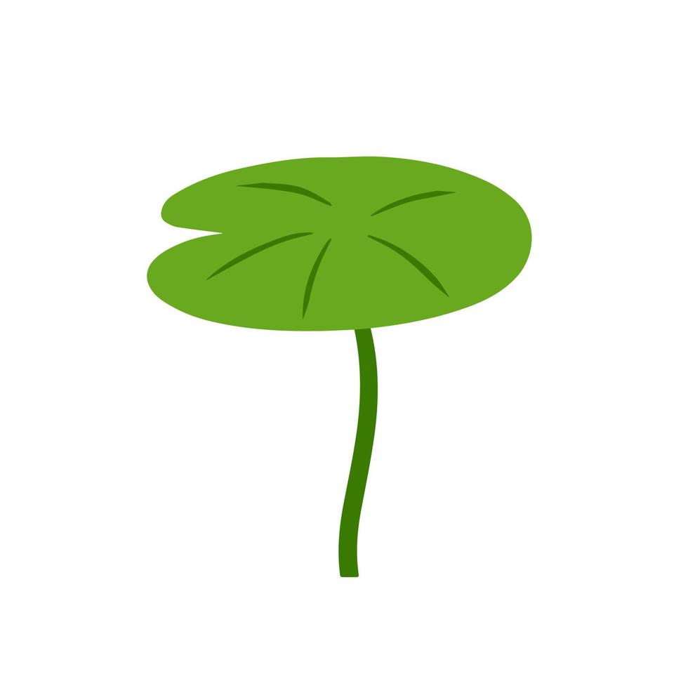 Water lily in pond. River plant. Green leaves. Nature of swamp, scenery of lake isolated on white vector