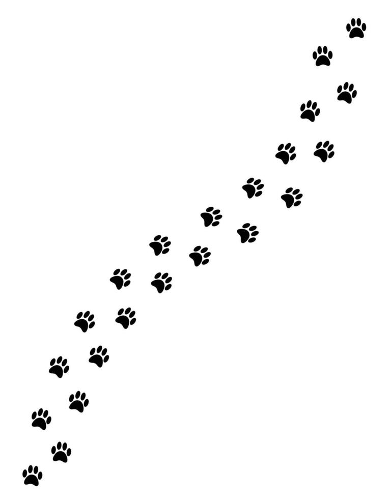 Huella de pata de gato de perro plano vectorial aislada en fondo blanco vector