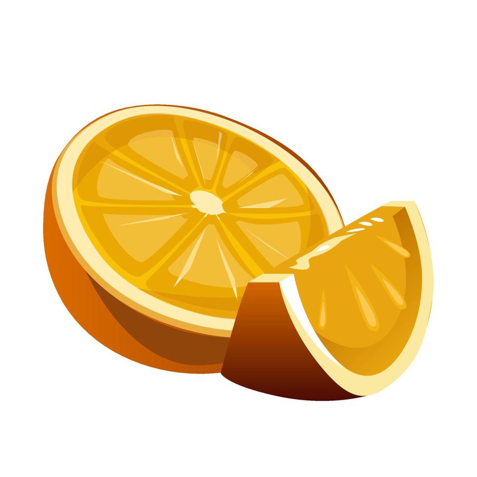 Juicy orange slice and half. Vector illustration isolated on white background.