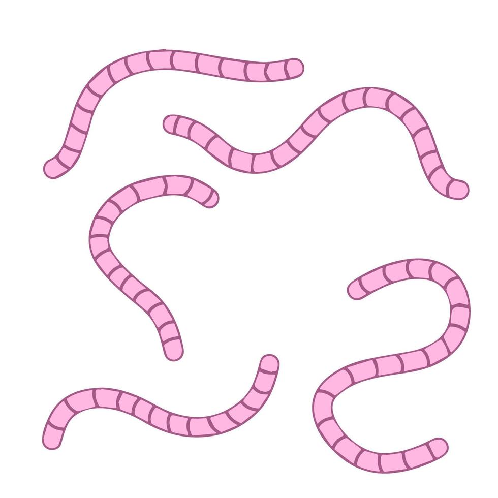 lombriz. gusano rosa e insecto subterráneo. cebo de pesca. ilustración de dibujos animados plana vector