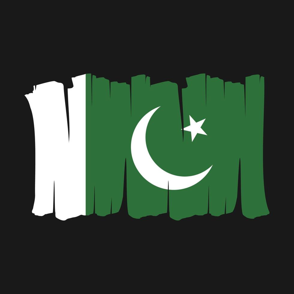 Pakistan Flag Brush vector