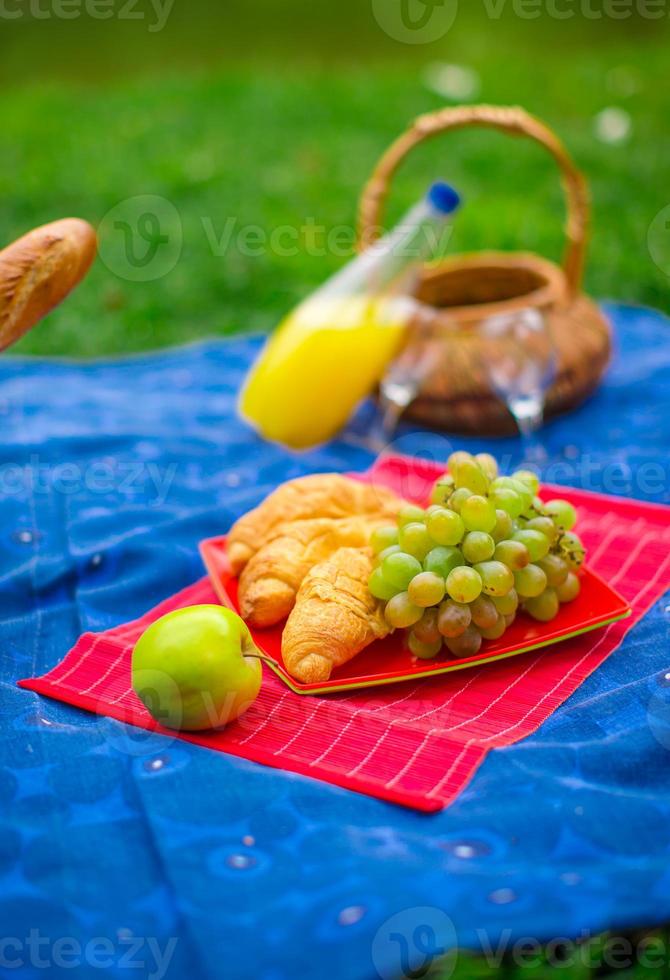 Picnic basket with fruits, bread and bottle of white wine photo