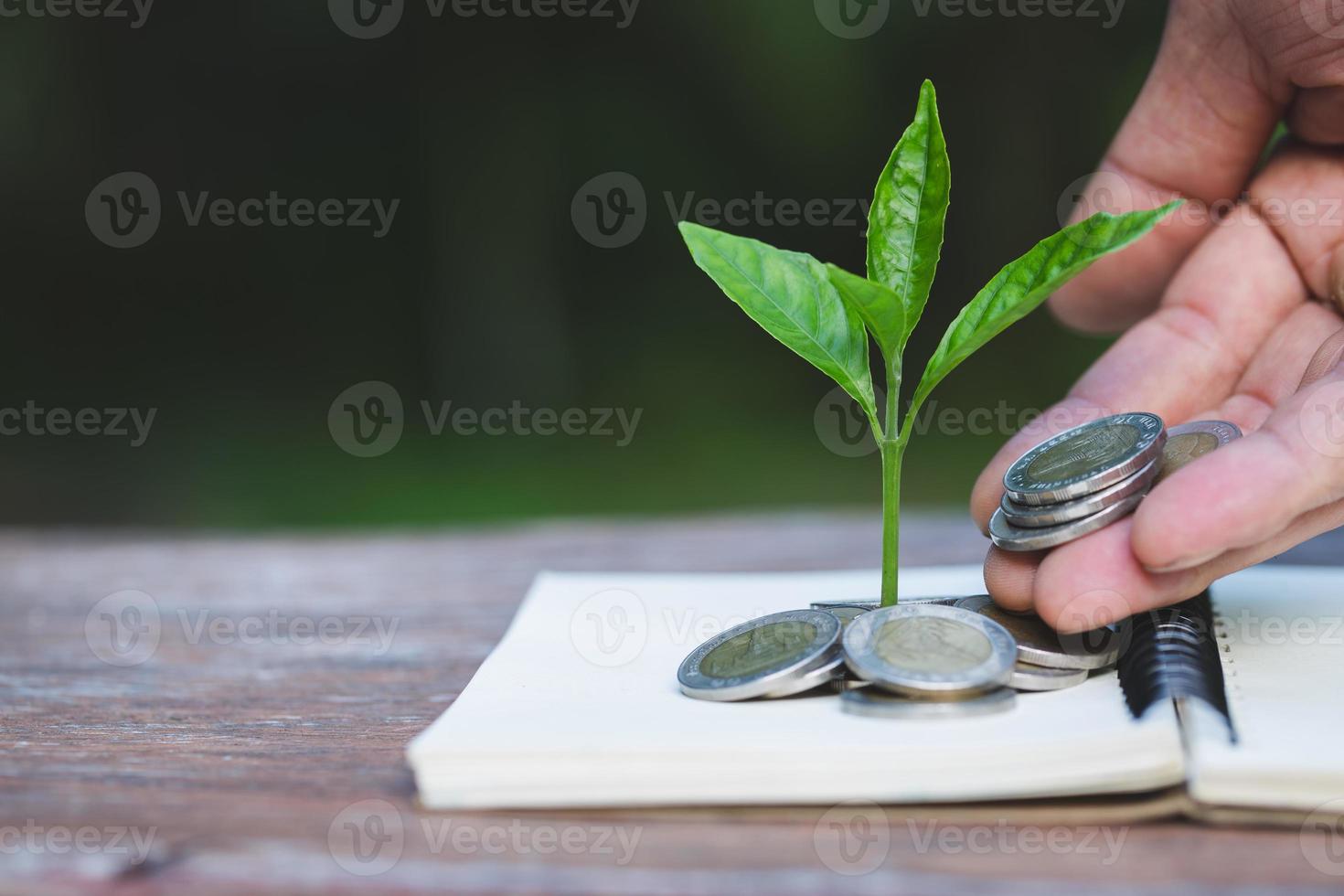 mano dando una moneda a un árbol que crece a partir de un montón de monedas. contabilidad financiera, concepto de inversión. foto