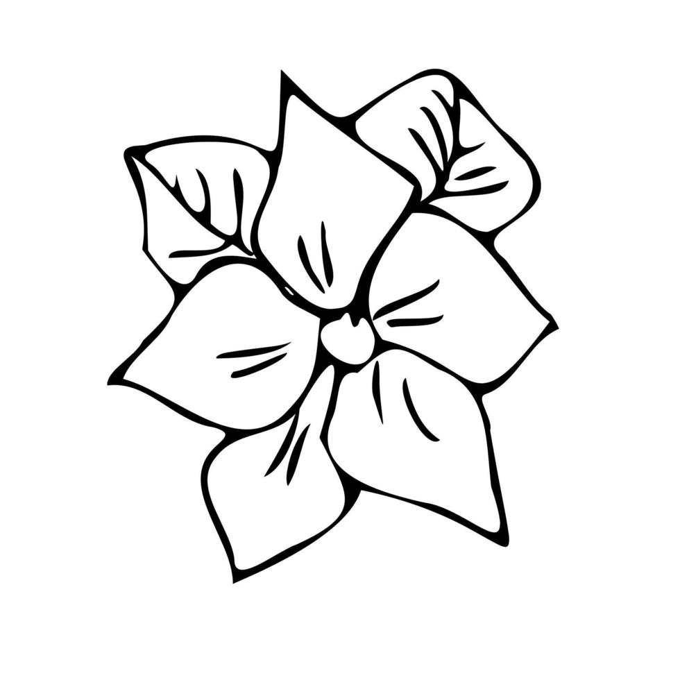 Flower heart envelope. Letter with flowers. Doodle style. vector
