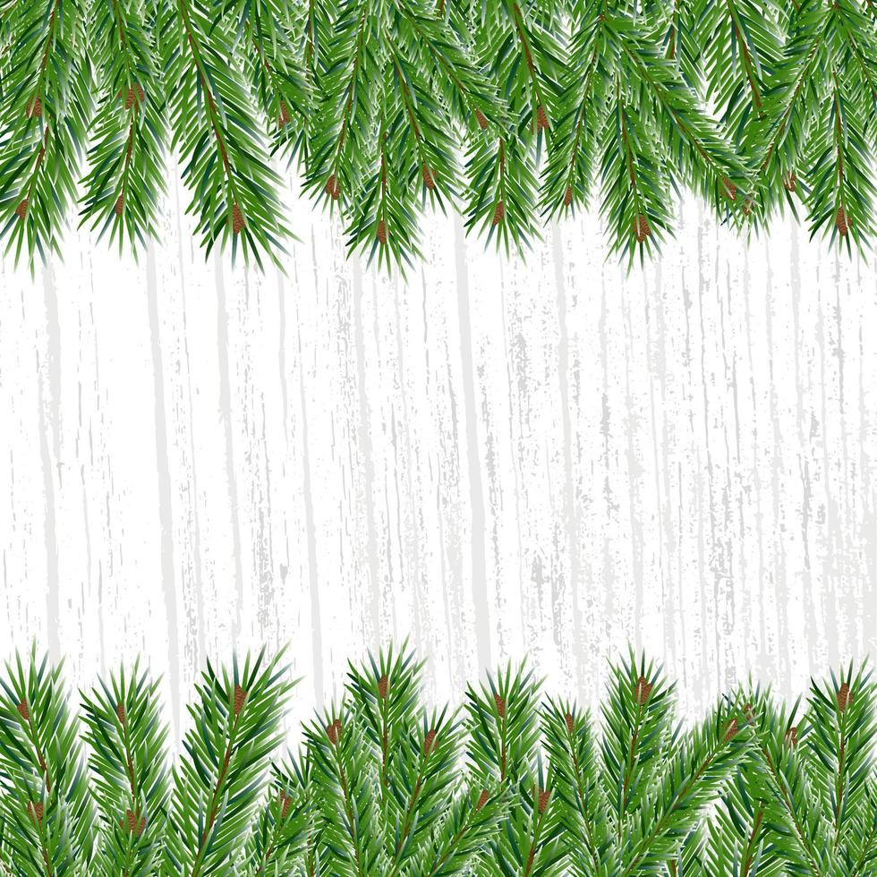 Green branches of spruce or pine on gray background. Vector festive background with space for text. Christmas and New Year background.