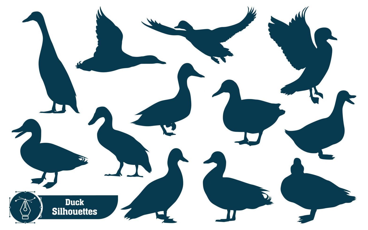 colección de silueta de pato animal en diferentes poses vector