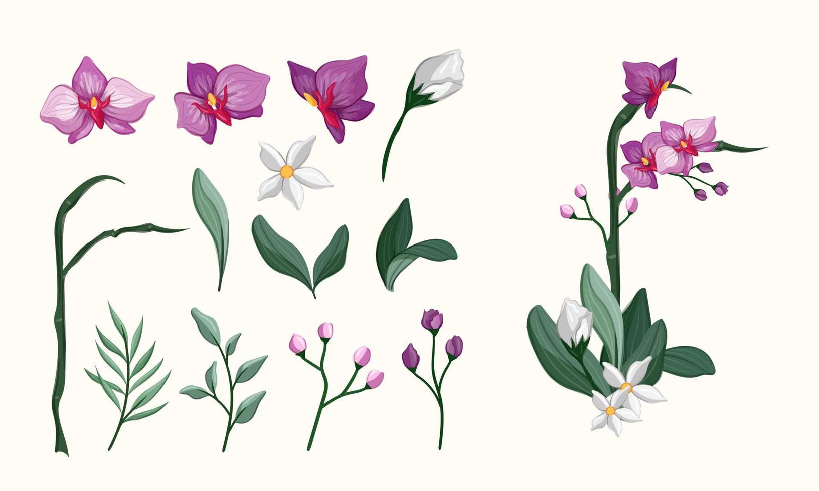 purple blossom orchid flower set with leaves beauty decoration realistic tropical garden vector
