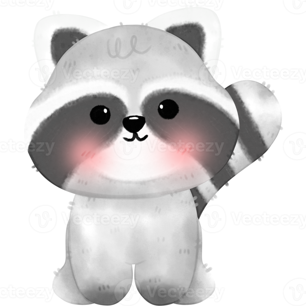 Cute Raccoon illustration png