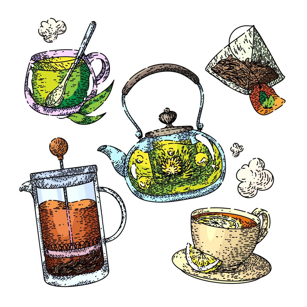 taza de té bebida conjunto boceto dibujado a mano vector