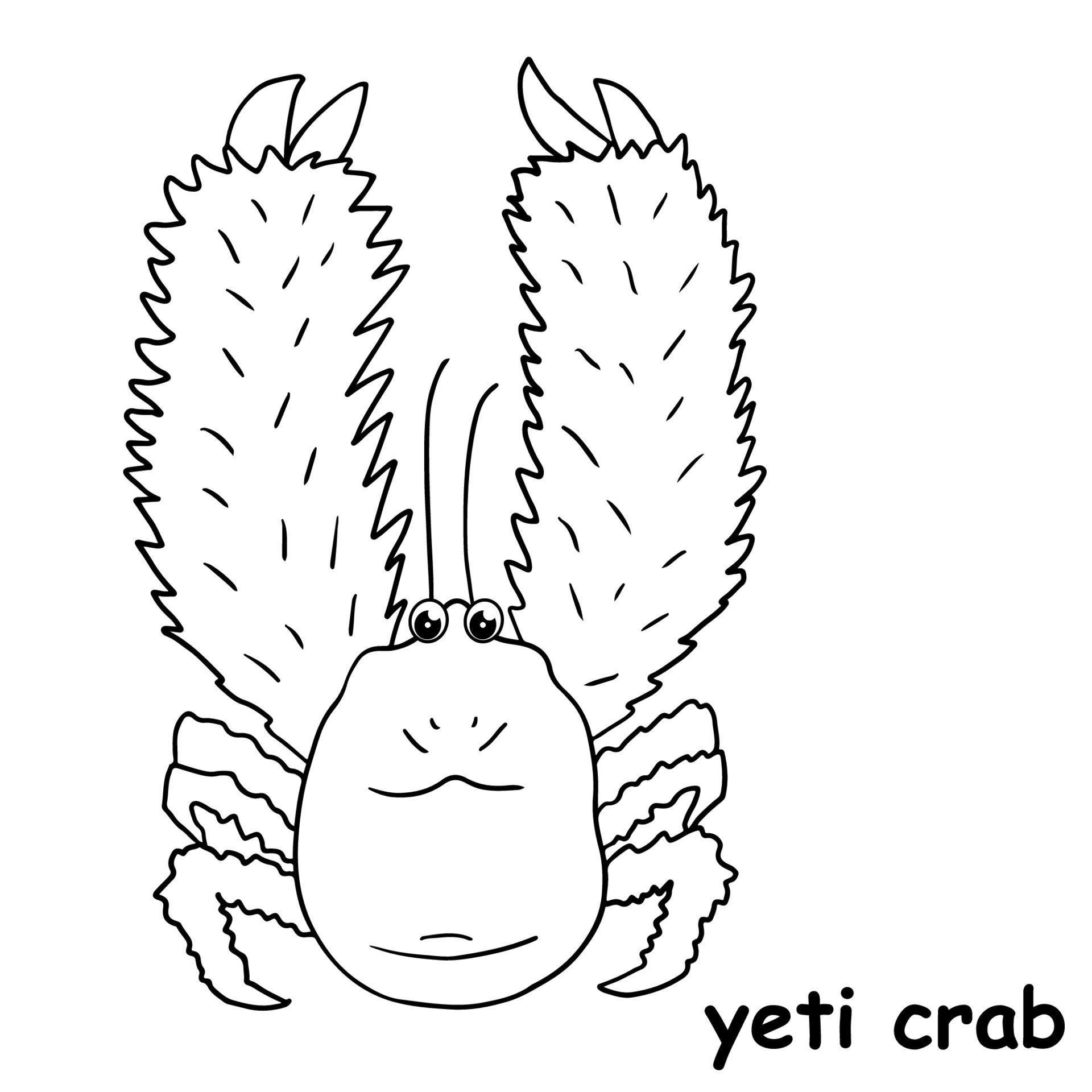 kids line illustration coloring yeti crab. outline vector for children