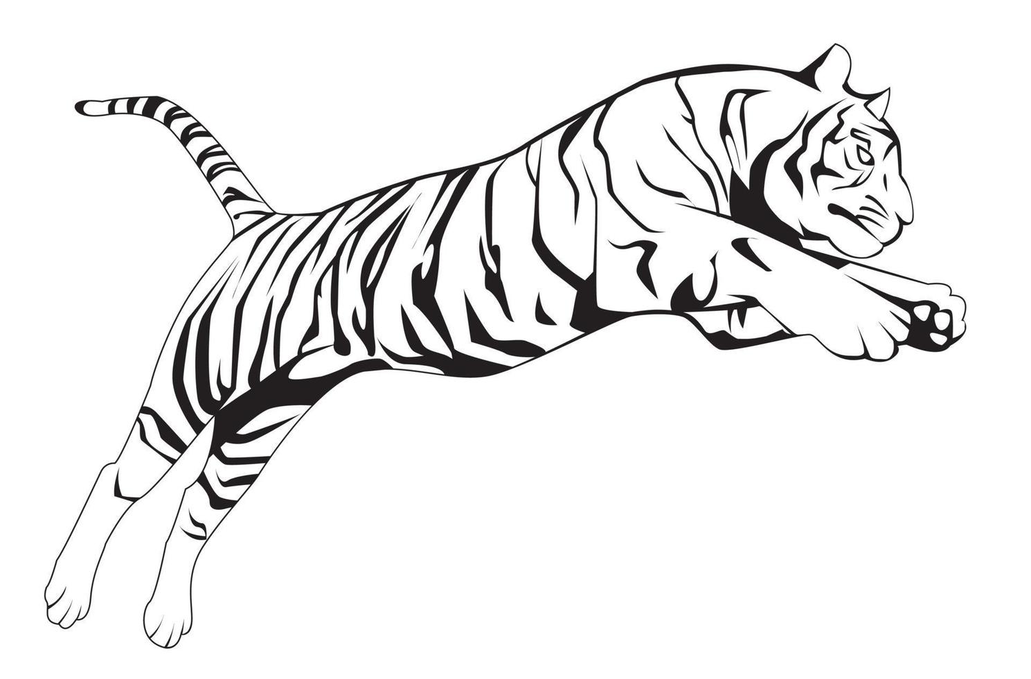 ilustración vectorial de tigre vector