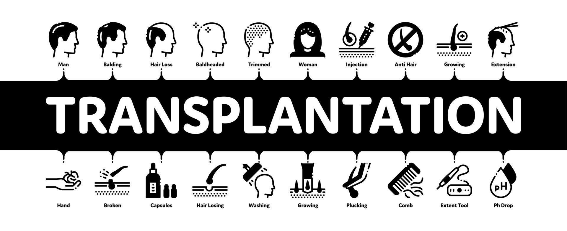 Hair Transplantation Minimal Infographic Banner Vector