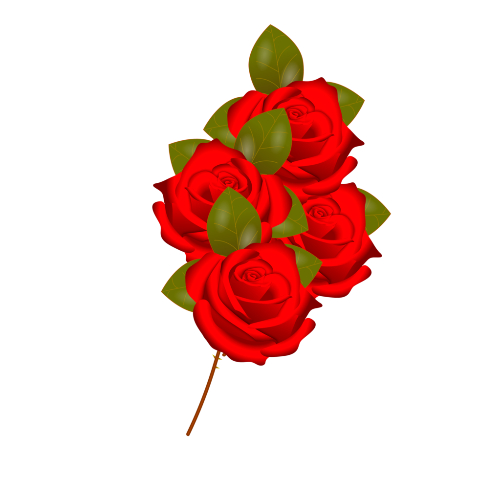 rood roos bloemen realistisch reeks met verschillend kleuren en vormen geïsoleerd png
