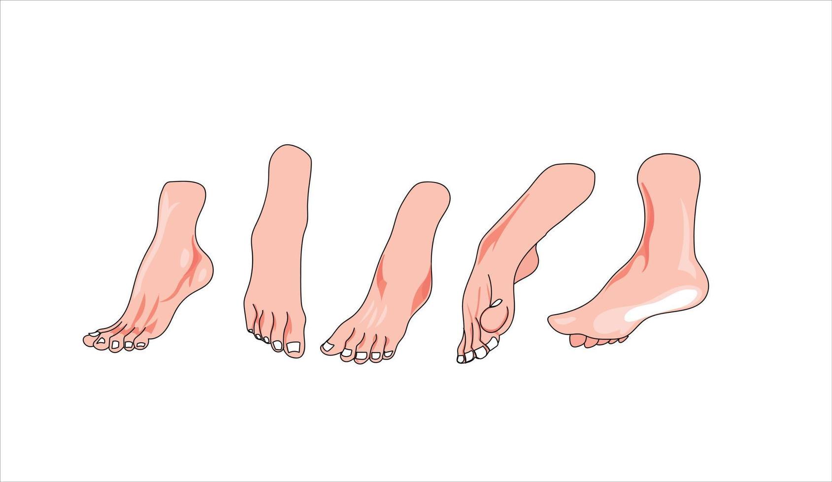 Set of men foot vector illustration on white background