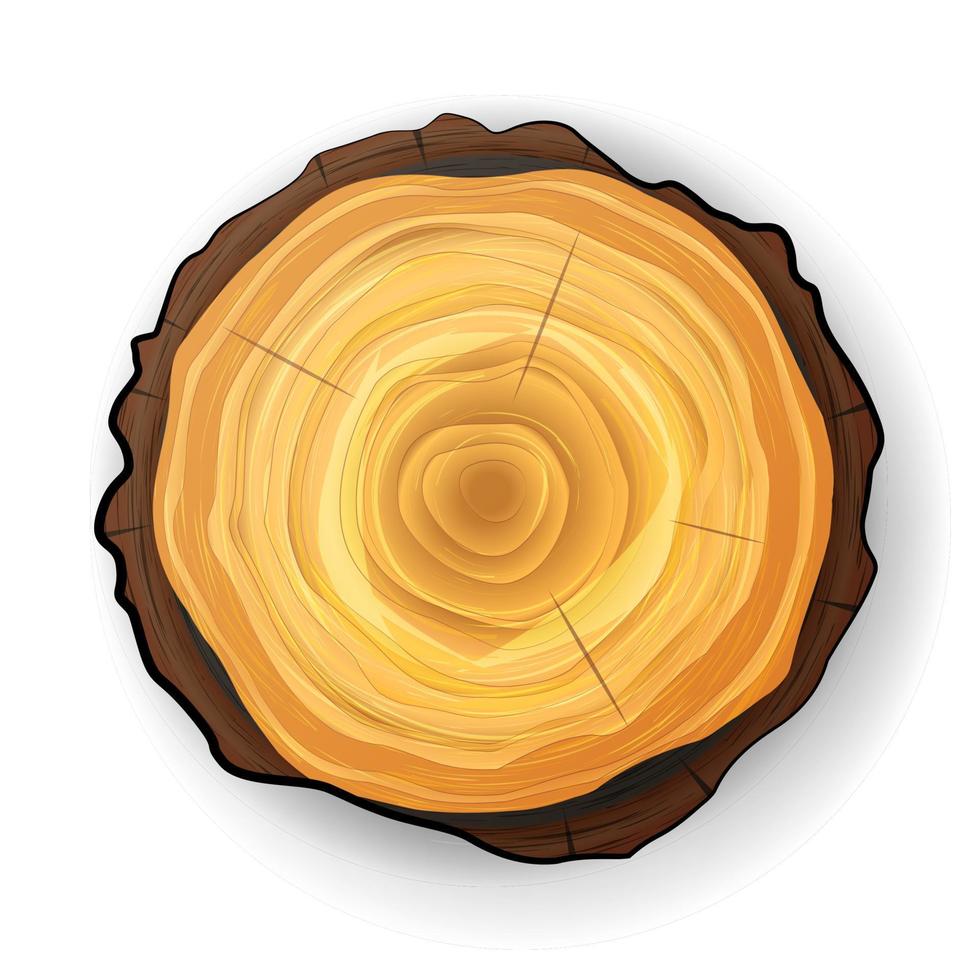 Cross Section Tree Wooden Stump Vector. Tree Round Cut With Annual Rings vector