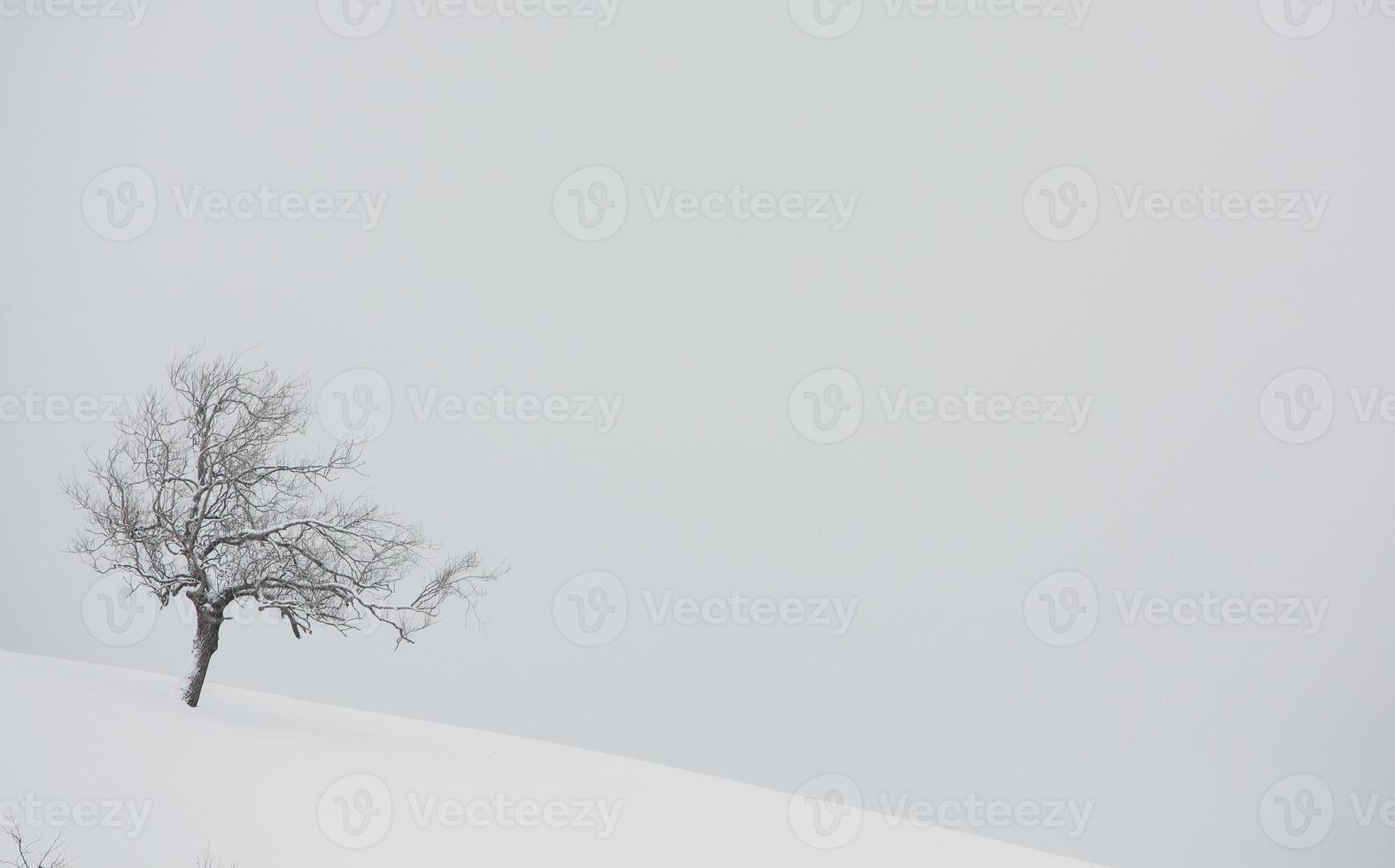 An abundant snowfall in the Romanian Carpathians in the village of Sirnea, Brasov. Real winter with snow in the country photo