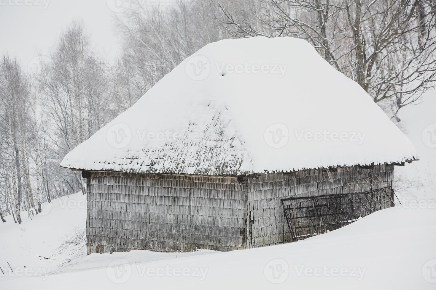 An abundant snowfall in the Romanian Carpathians in the village of Sirnea, Brasov. Real winter with snow in the country photo