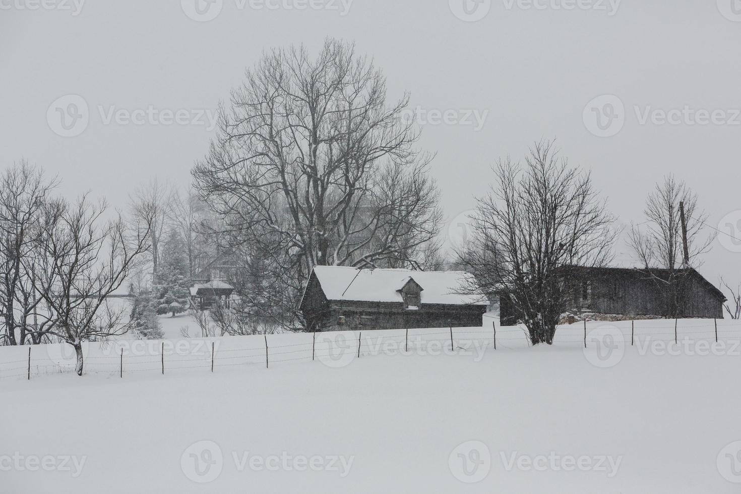 An abundant snowfall in the Romanian Carpathians in the village of Sirnea, Brasov. Real winter with snow in the country photo
