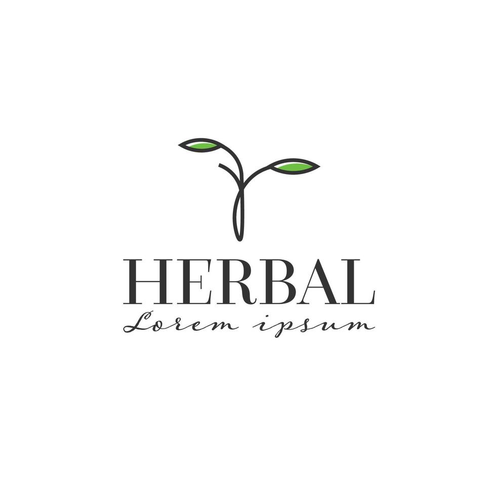 Herbal logo template design vector