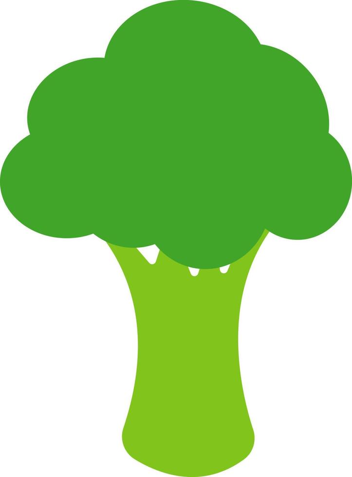 Broccoli icon, vegetable symbol vector