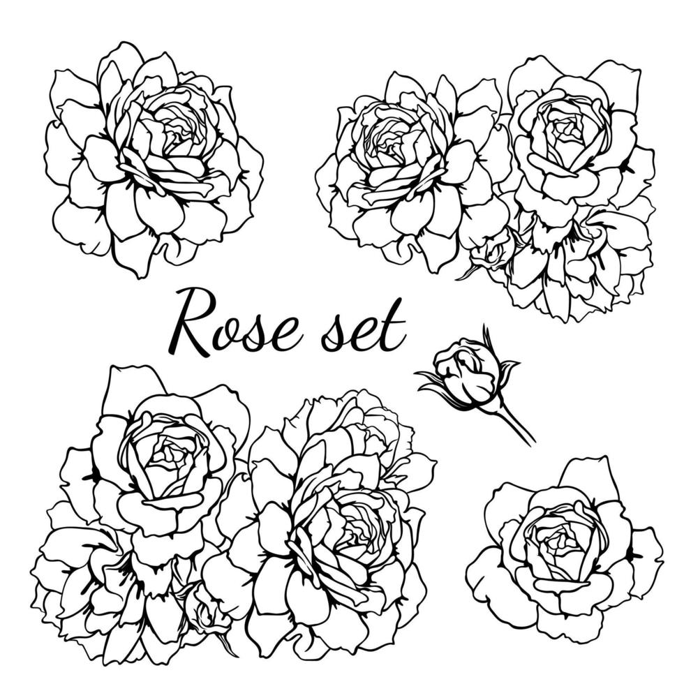 flores rosas monocromáticas dibujadas a mano. contorno de rosa, dibujo de línea de capullo de rosa, dibujo de línea de flor, contorno de rosa, conjunto de vectores en blanco y negro