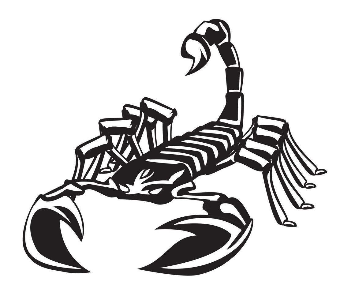 ilustración vectorial de escorpión vector