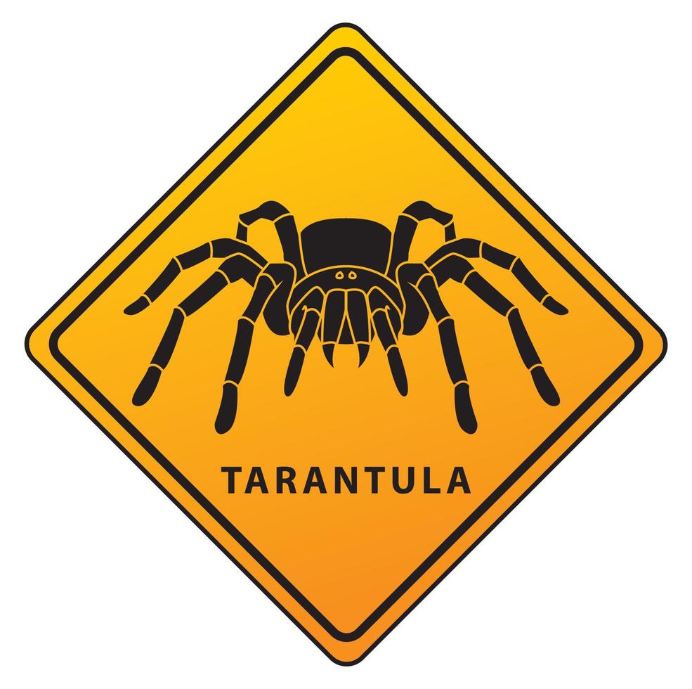 ilustración de diseño de tarántula de araña vector