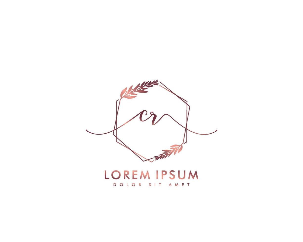 Initial CR Feminine logo beauty monogram and elegant logo design, handwriting logo of initial signature, wedding, fashion, floral and botanical with creative template vector