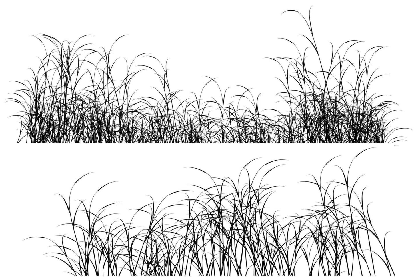 tall grass silhouette vector