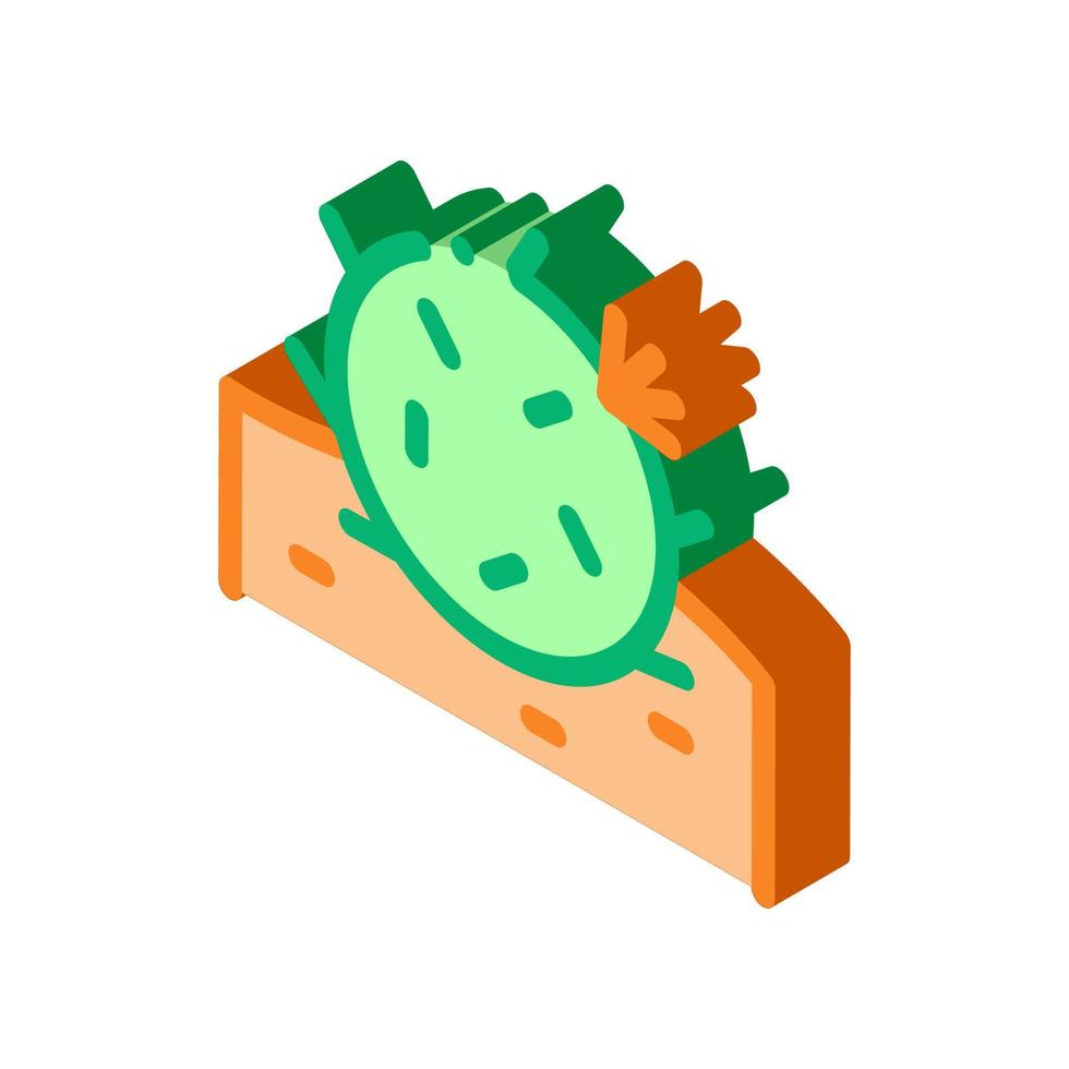 Cactus isometric icon vector illustration