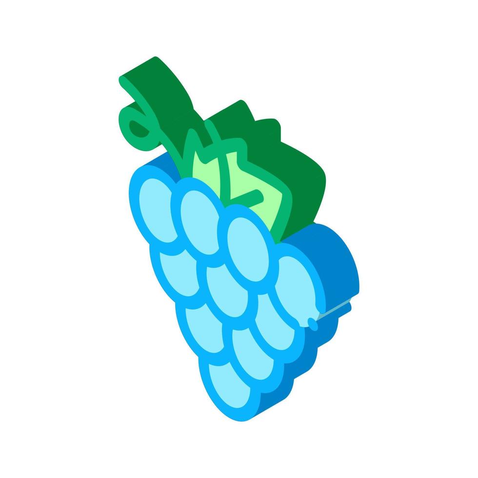 Grape Wine Berry Isometric Icon Vector Illustration