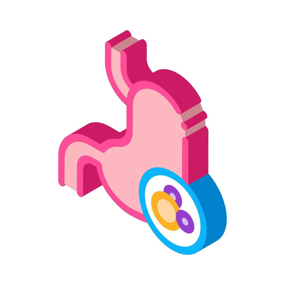 human kidney isometric icon vector illustration