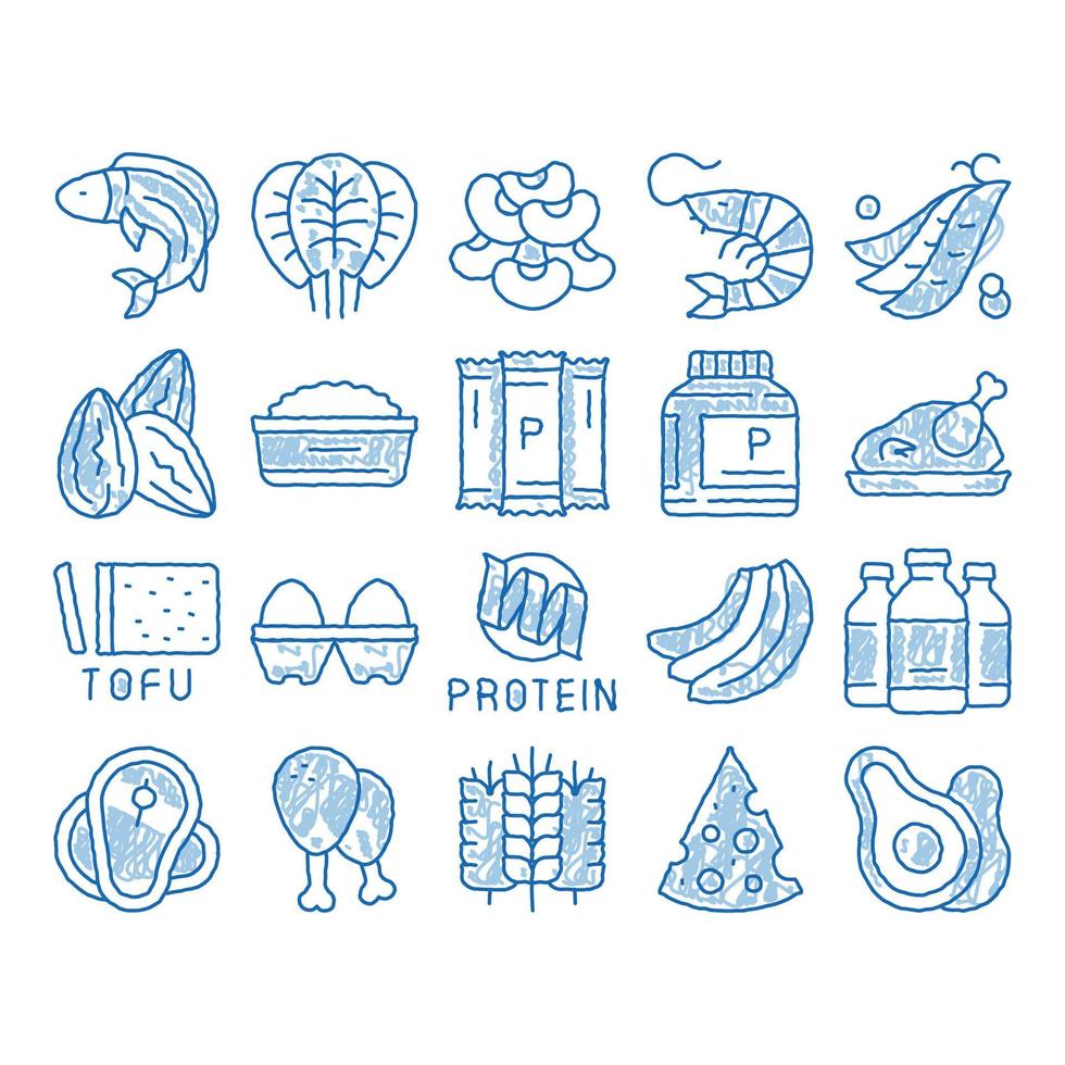 icono de nutrición de alimentos proteicos dibujado a mano ilustración vector