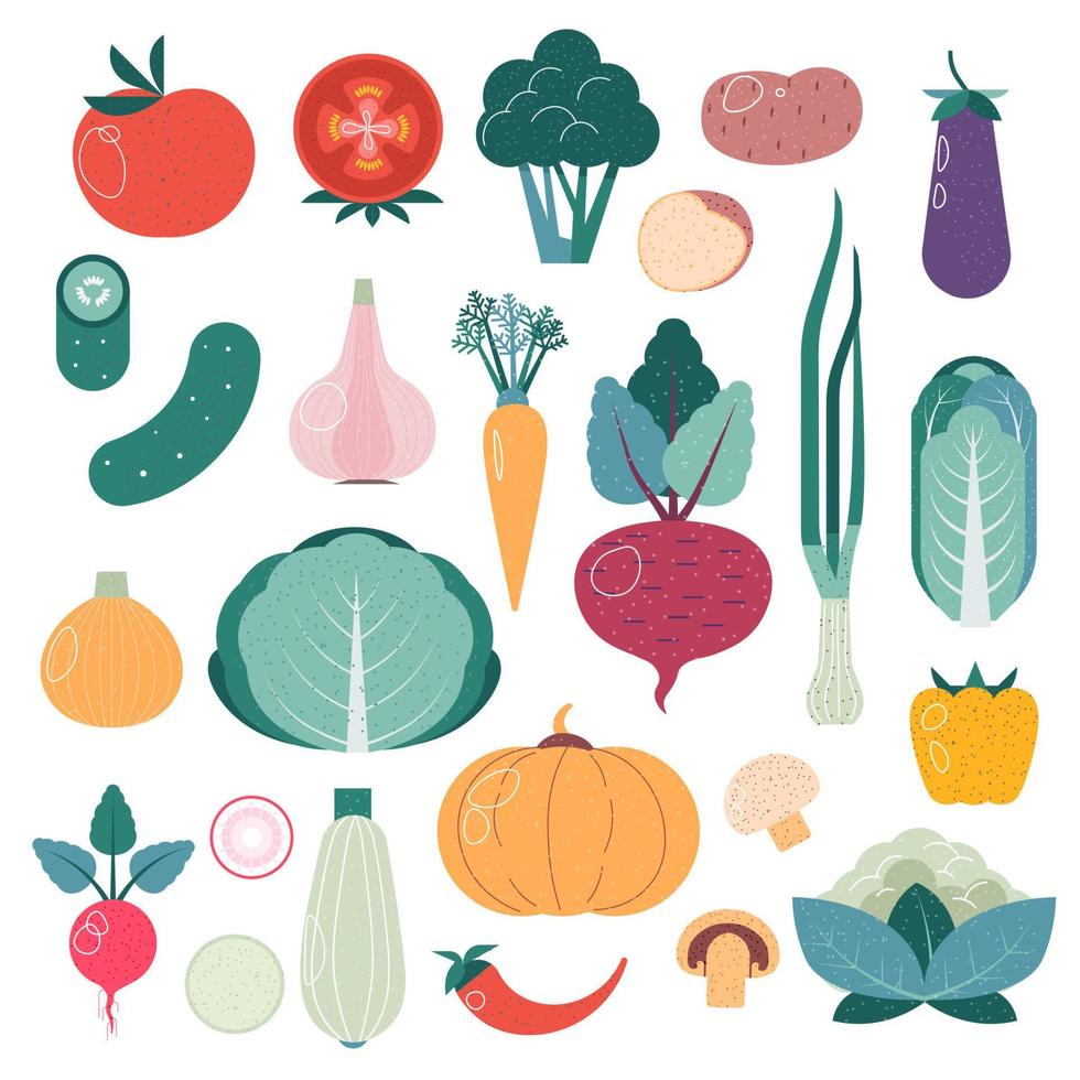 verduras verduras frescas comida orgánica producto vector