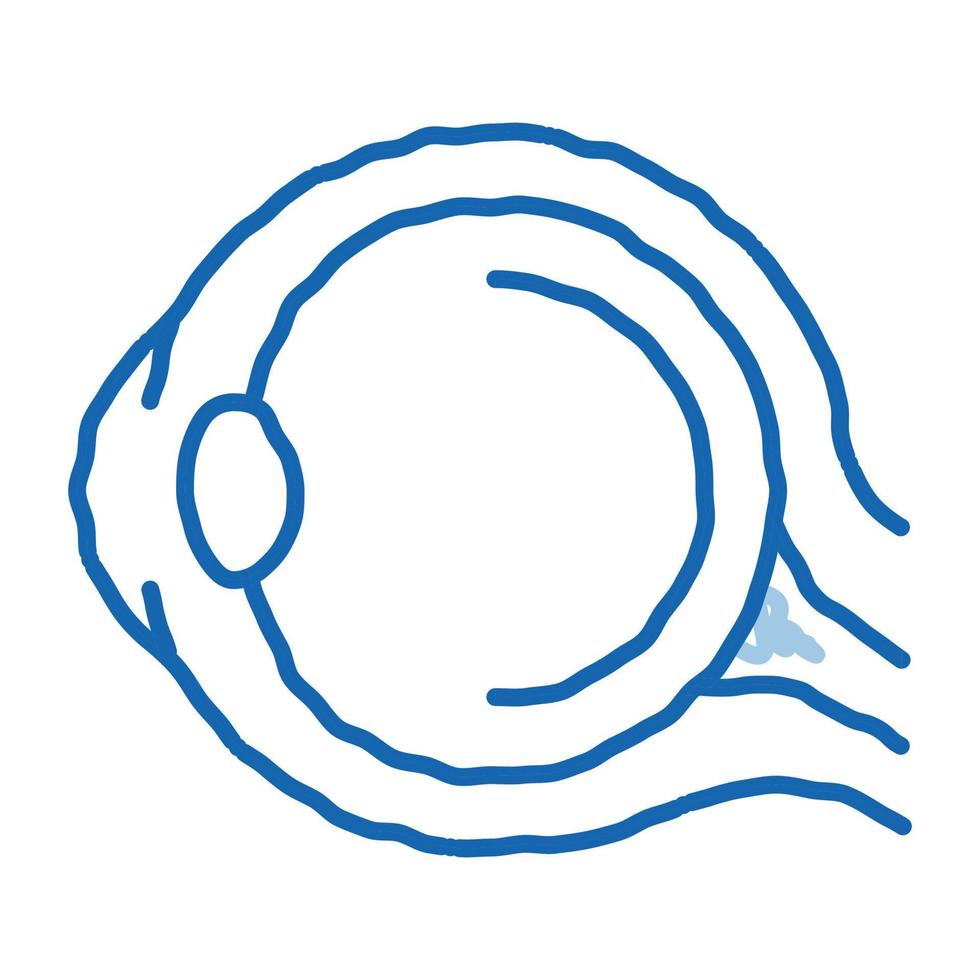 globo ocular humano anatomía órgano doodle icono dibujado a mano ilustración vector