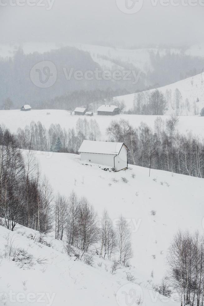 An abundant snowfall in the Romanian Carpathians in the village of Sirnea, Brasov. Real winter with snow in the country photo