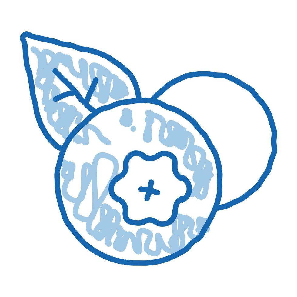 Healthy Food Fruit Blueberry doodle icon hand drawn illustration vector