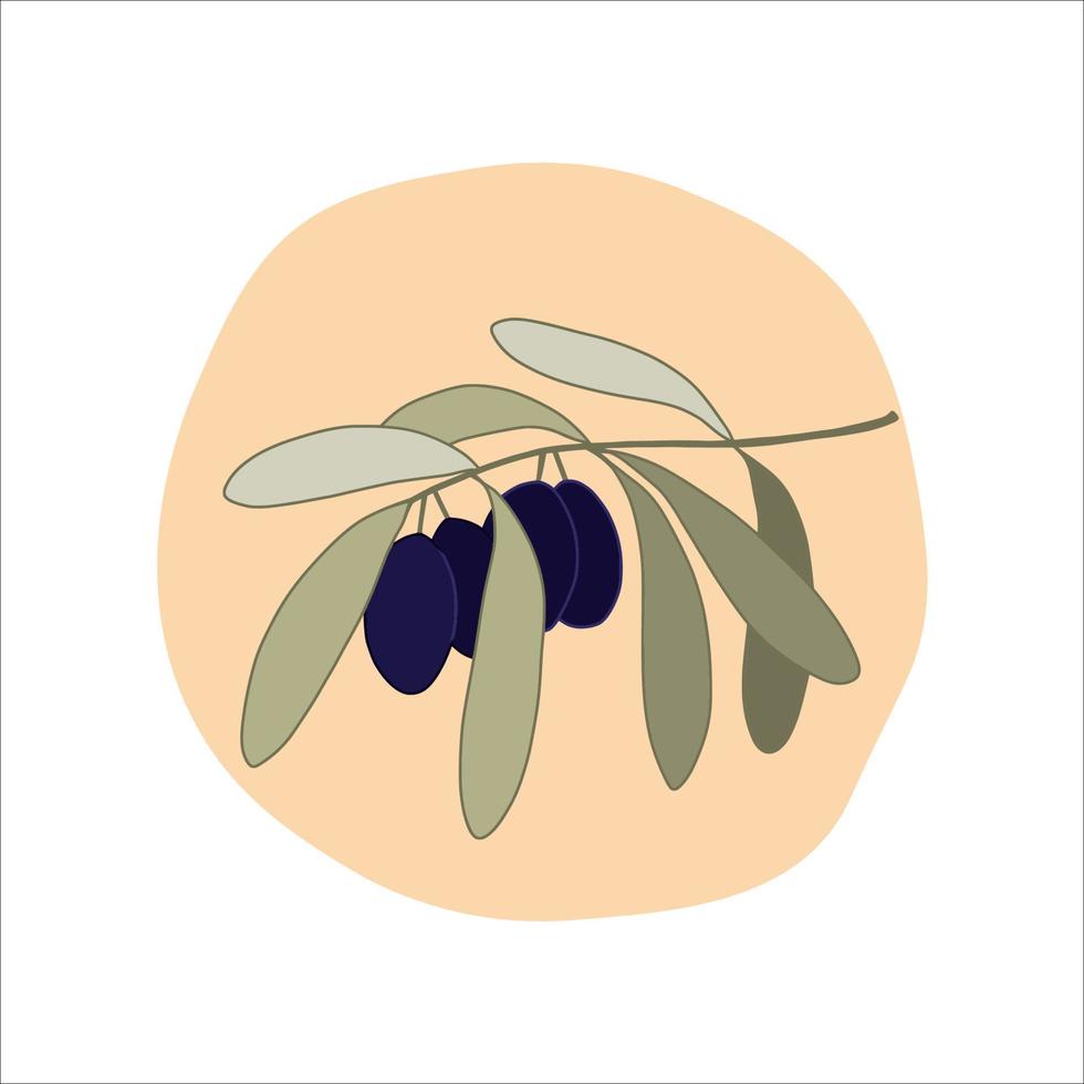 Olive tree branch in cartoon style. Vector illustration.